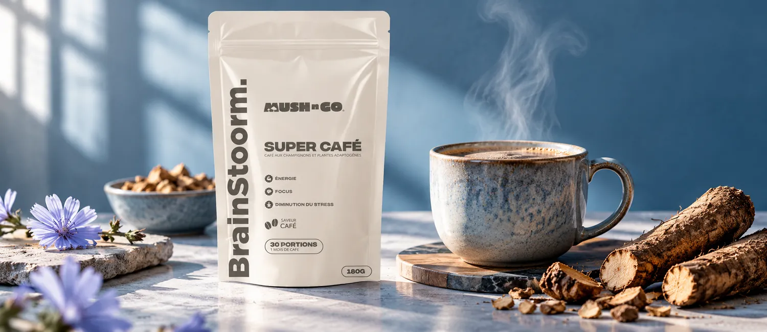 Brainstoorm Coffee von Mush N Go mit einem Häferl und gerösteter Zichorie am Morgen