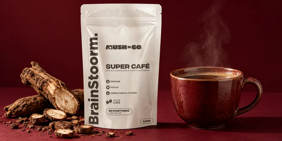 Brainstoorm Coffee von Mush N Go mit gerösteter Zichorienwurzel und einem Häferl