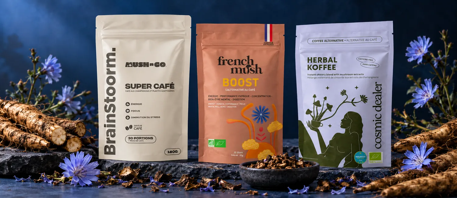 Brainstoorm Coffee, French Mush Boost und Herbal Koffee von Cosmic Dealer mit Zichorienwurzeln und Wegwarte-Blüten